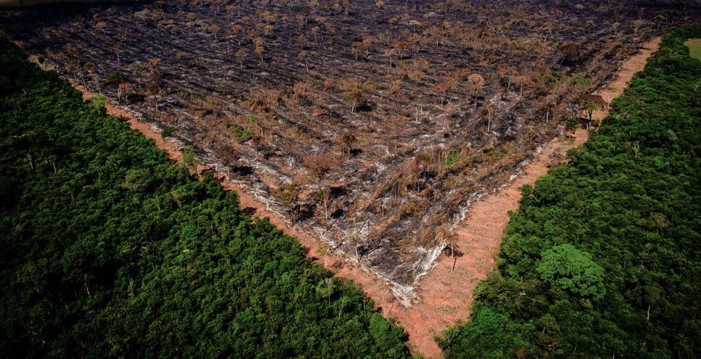 Bolsonaro é denunciado mais uma vez ao Tribunal de Haia por destruição da Amazônia