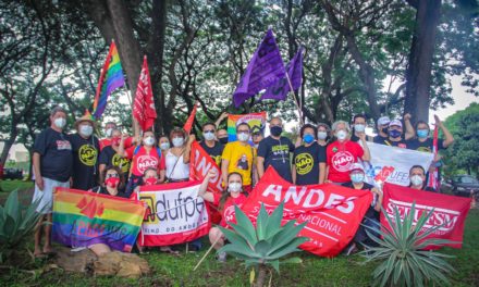 Na 11ª semana de luta contra a PEC 32, docentes participam de vários protestos em Brasília