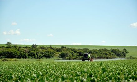 PL do Veneno: Câmara aprova projeto que facilita o uso de agrotóxicos no Brasil