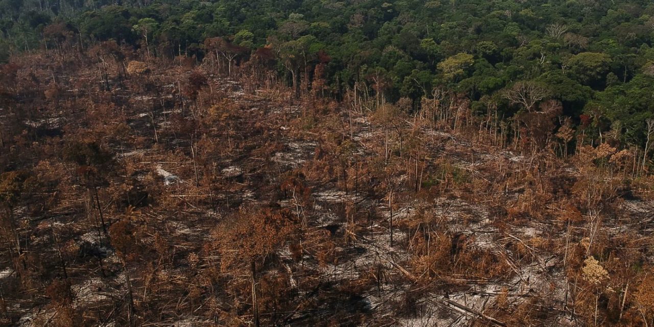 Agronegócio foi responsável por 97% do desmatamento no Brasil em 2021, aponta relatório