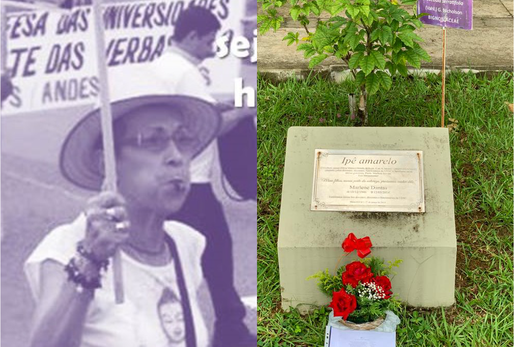 PROEX realiza homenagem póstuma pelos 10 anos da morte da Professora Marlene Dantas